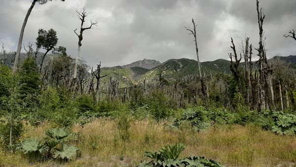 Chaitén et son volcan